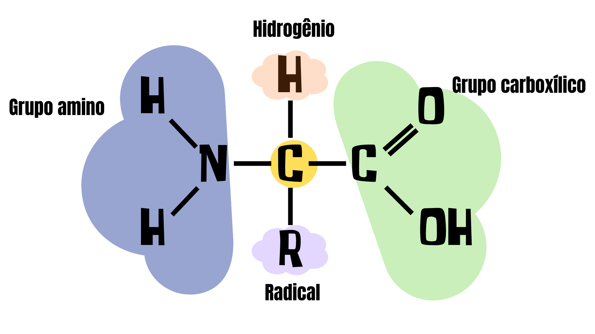 Estrutura química de um aminoácido com setas para carbono alfa, amino, carboxila e cadeia lateral